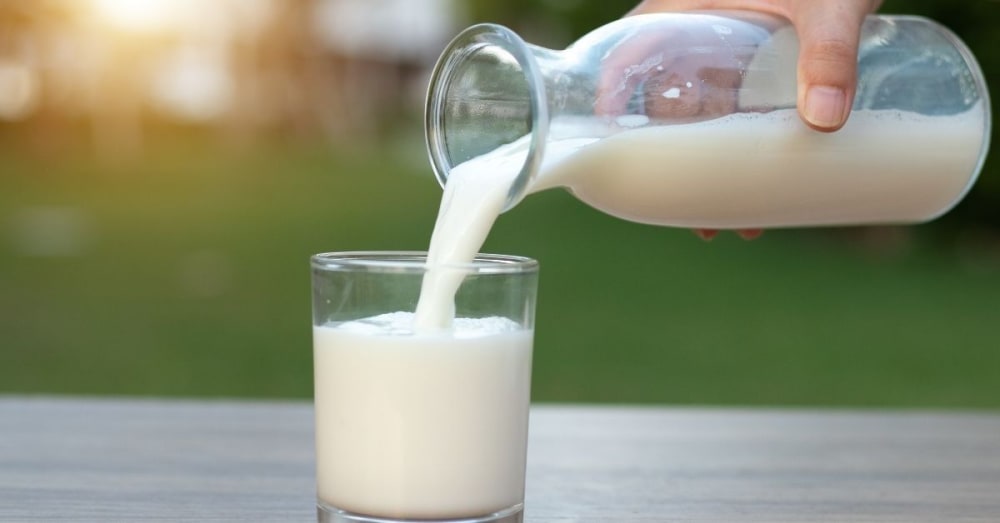 Calories in 1 Glass of Milk, Nutrition, Weight Loss Bodywise